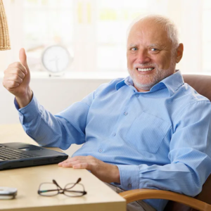 Hide the Pain Harold